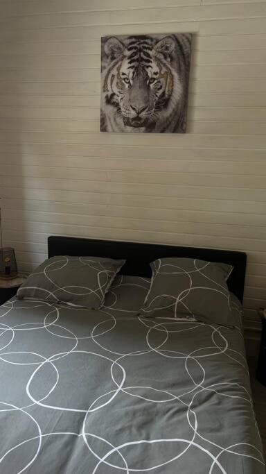 Magnifique Appartement T2 Le Barcarès Eksteriør bilde